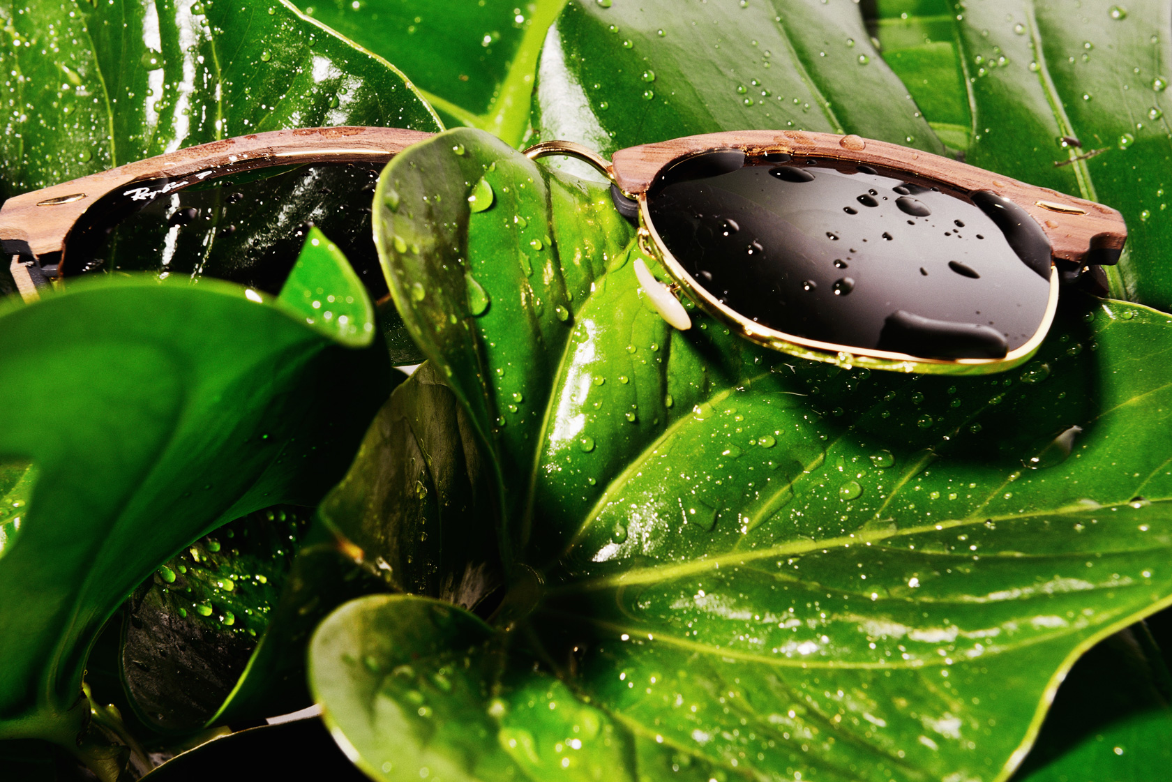 RAY BAN от оптики LEONARDO, 730лв.
