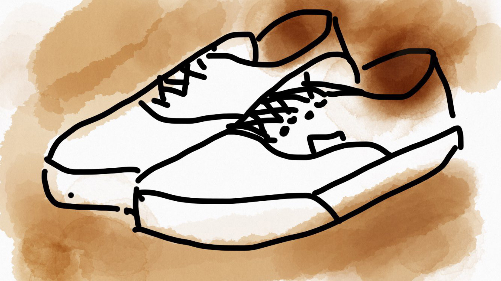 vans vans