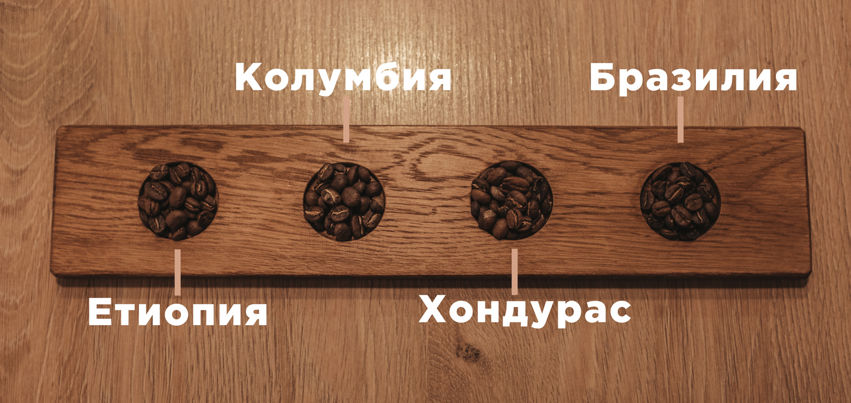 _DSF0351 _DSF0351
