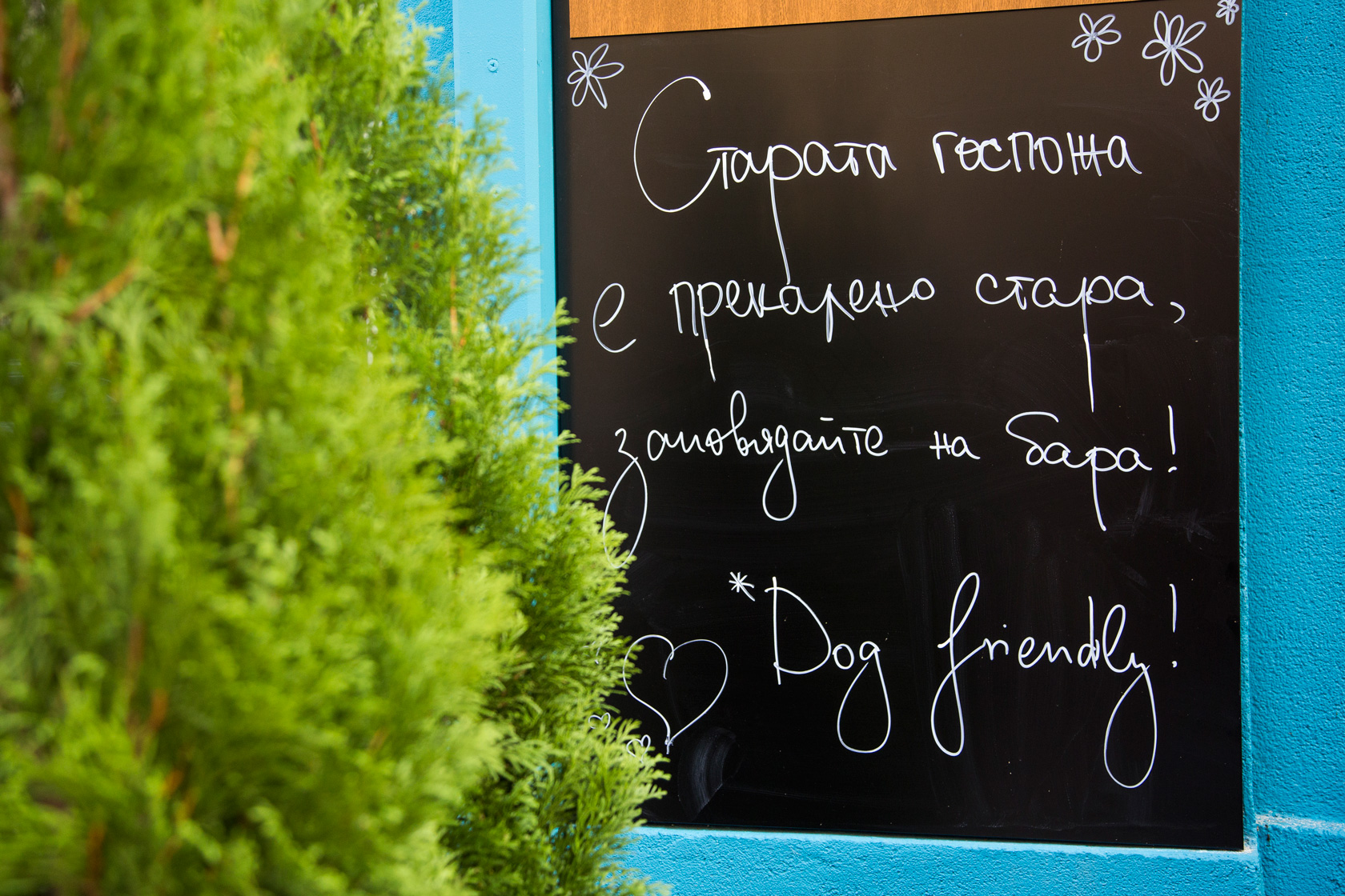_MG_6806_ _MG_6806_