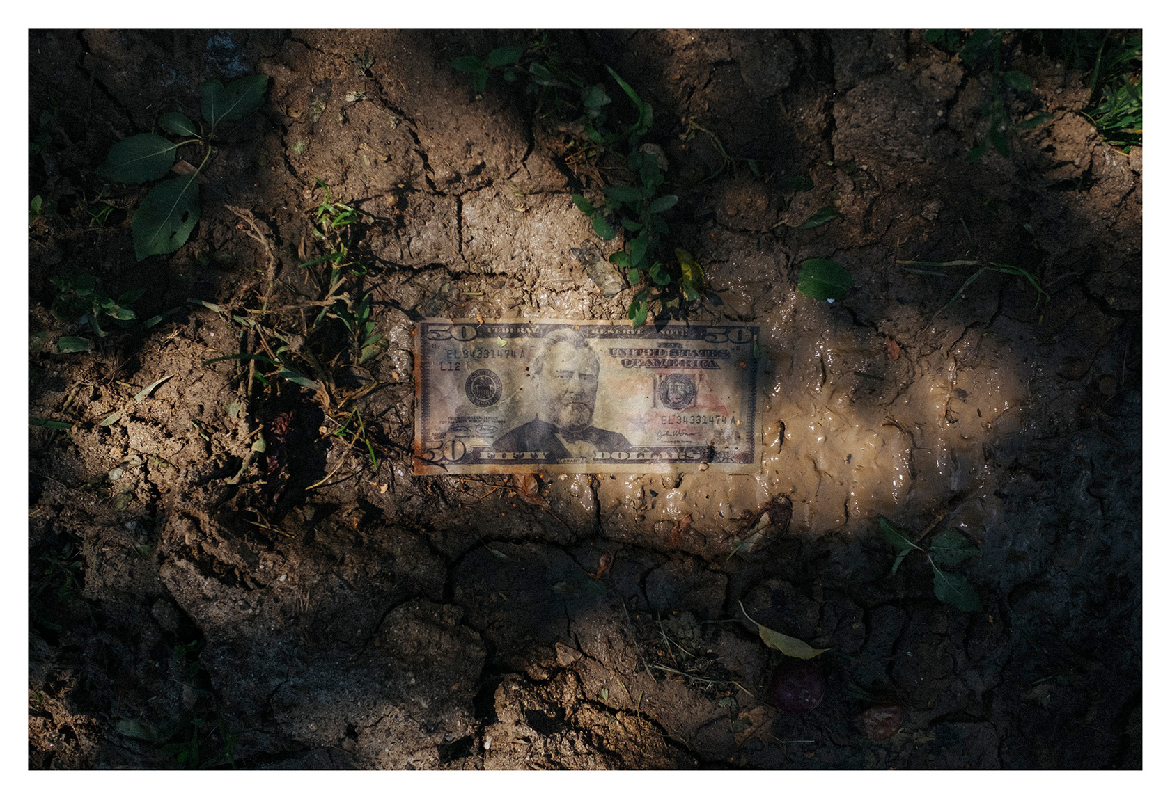 Dollar-Bill_Bulgaria_40x27-cm Dollar-Bill_Bulgaria_40x27-cm