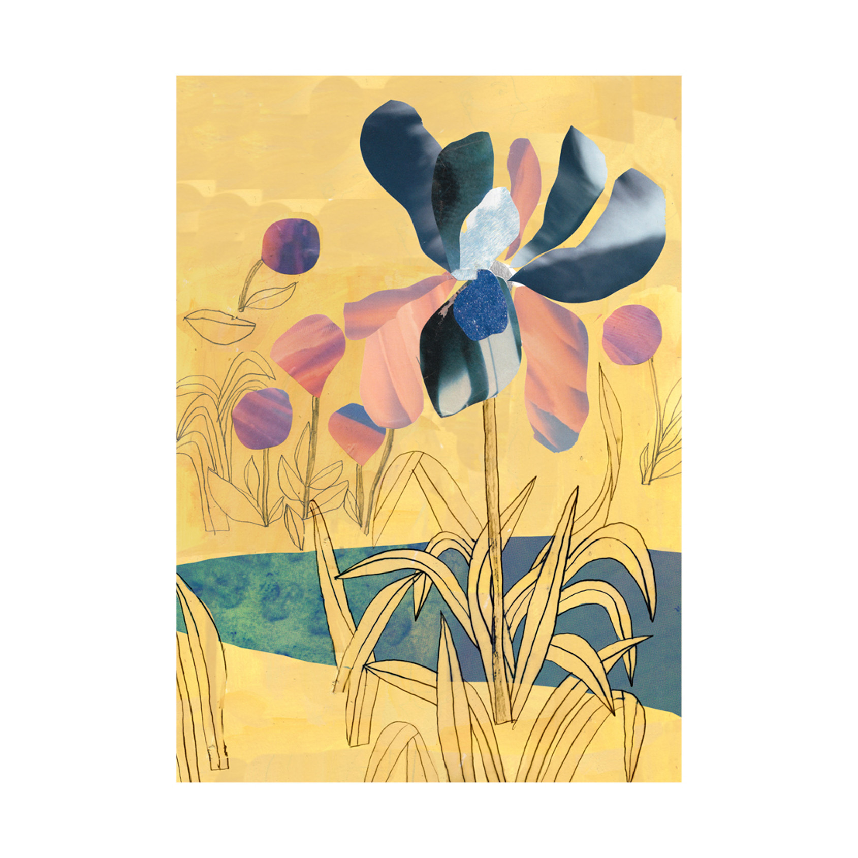 AndreaPopyordanova_Iris1 AndreaPopyordanova_Iris1