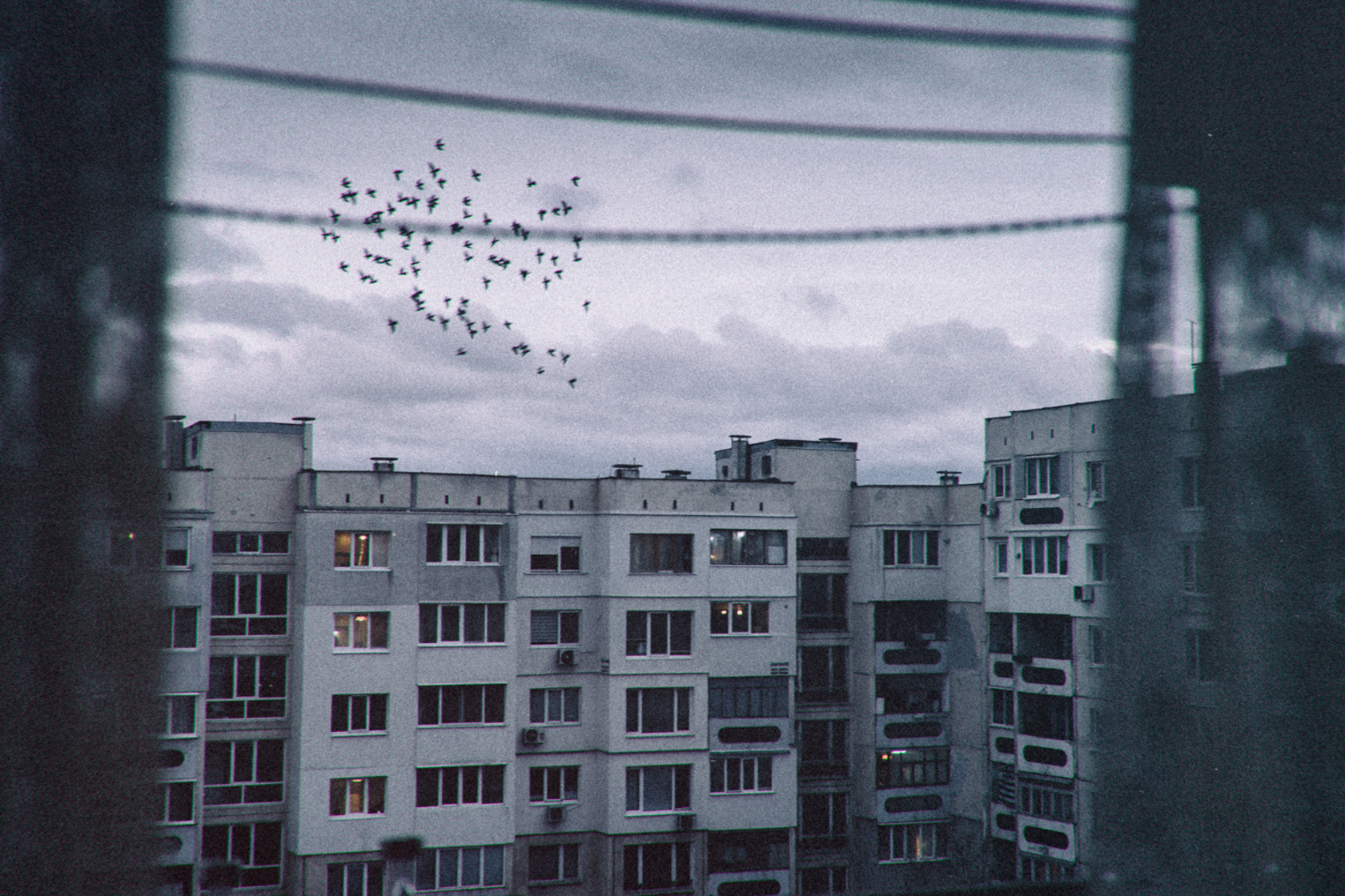 alexander_stanishev alexander_stanishev