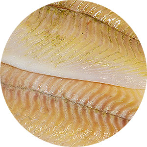 product-morski-ezik