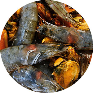 product-skaridi-midi